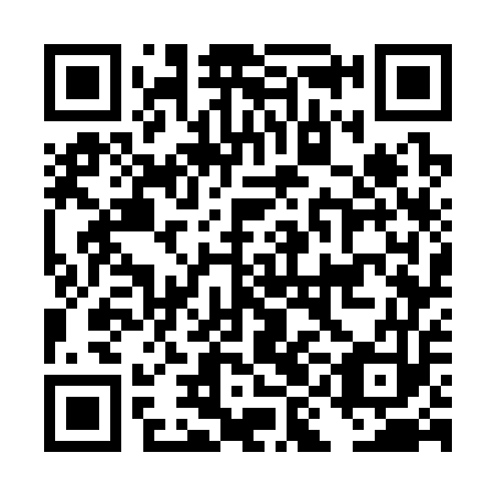 QR code for DIG353