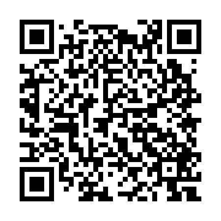 QR code for plate DIM 349