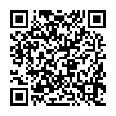 QR code for DIQ 994