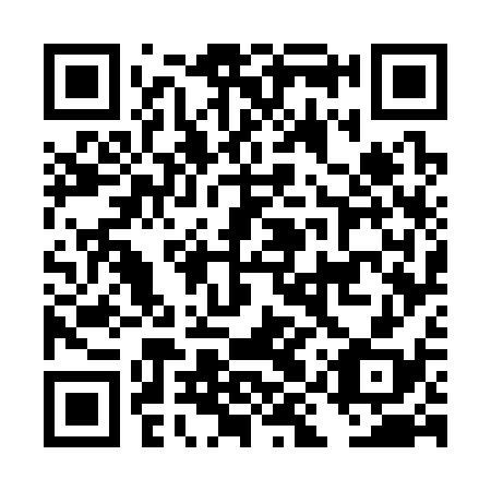 QR code for DIW 338