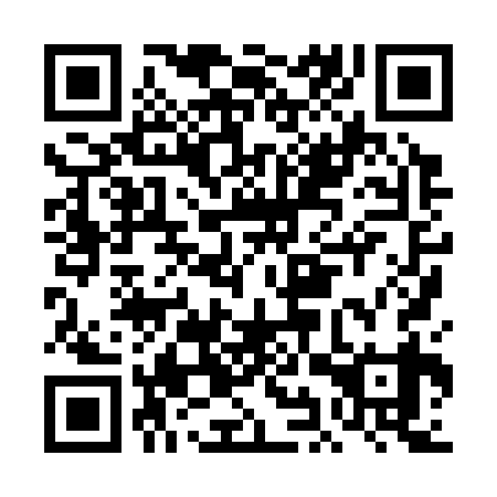 QR code for plate DIX 339