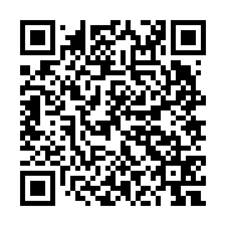QR code for DIZ 675