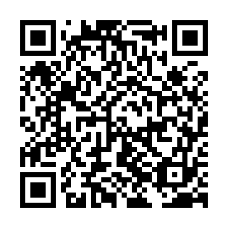 QR code for plate DJG 973