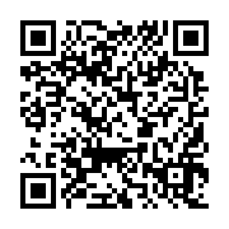 QR code for plate DJQ 316