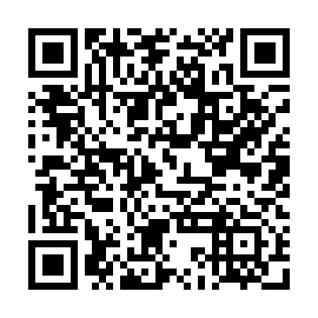 QR code for plate DKI 113