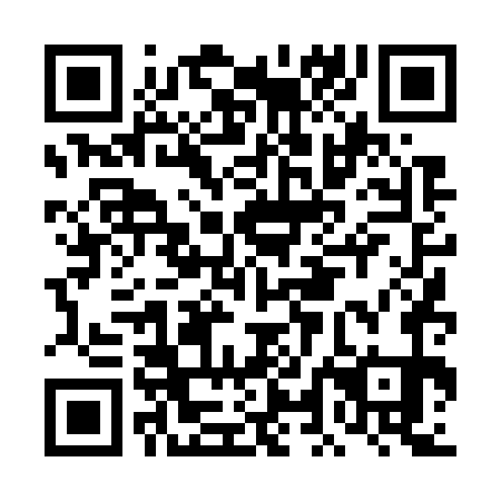 QR code for plate DLD 771