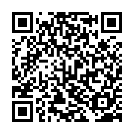 QR code for plate DLG 955