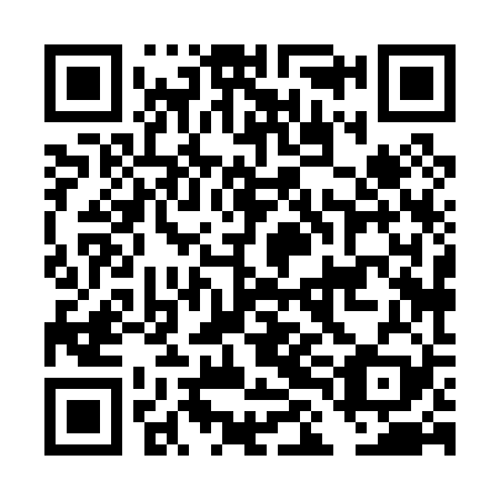 QR code for DLH 029