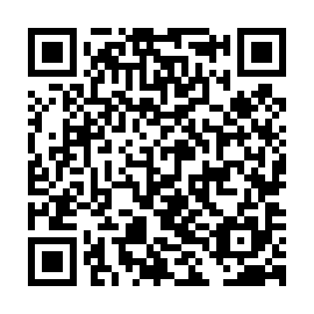 QR code for plate DLN 495