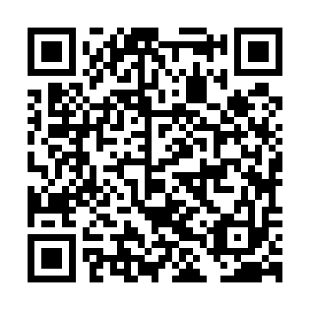 QR code for DLZ513