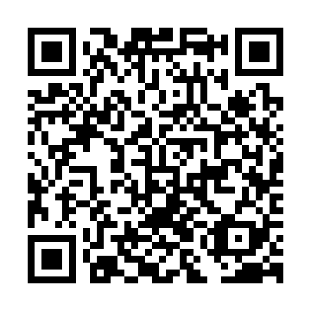 QR code for DMC 329