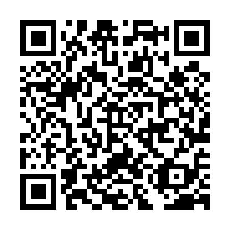 QR code for plate DML 519