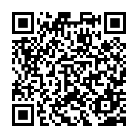 QR code for DMN 006