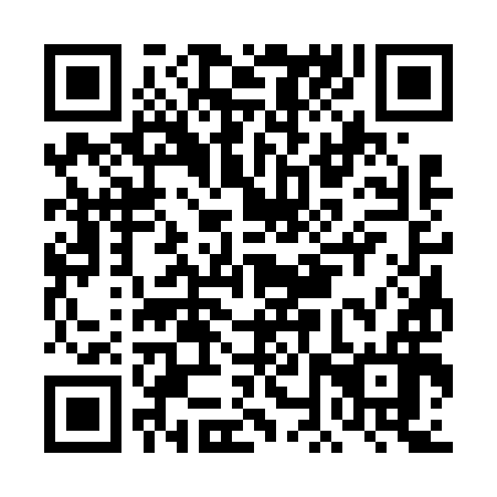 QR code for plate DNS 696