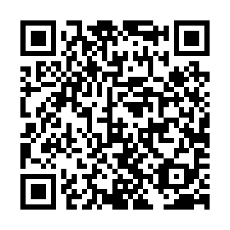 QR code for DNT 299