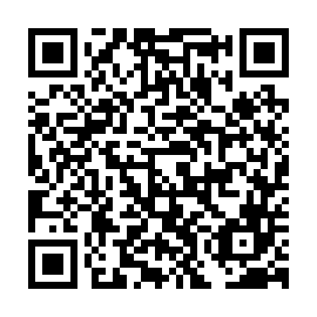 QR code for plate DOG 246