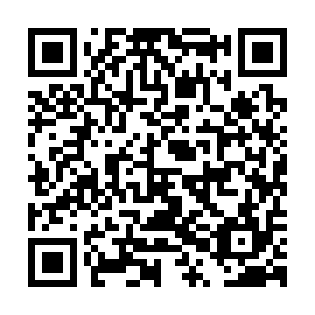QR code for DPI 314
