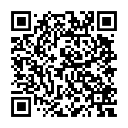 QR code for DPI409