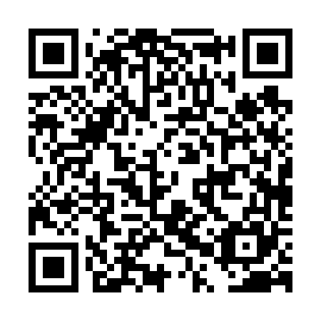QR code for DPP665