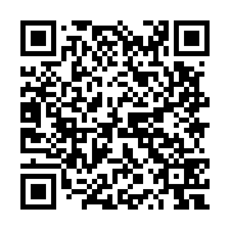 QR code for plate DPY 579