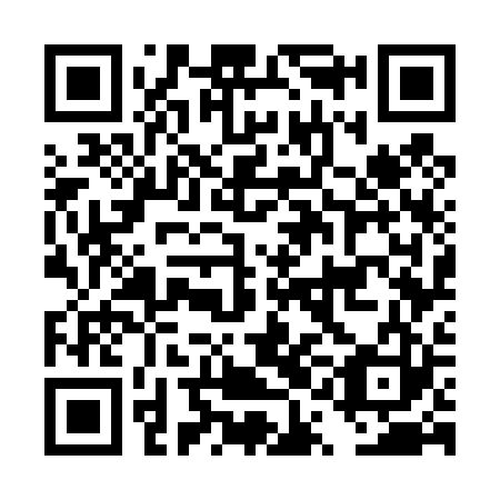 QR code for DQG423