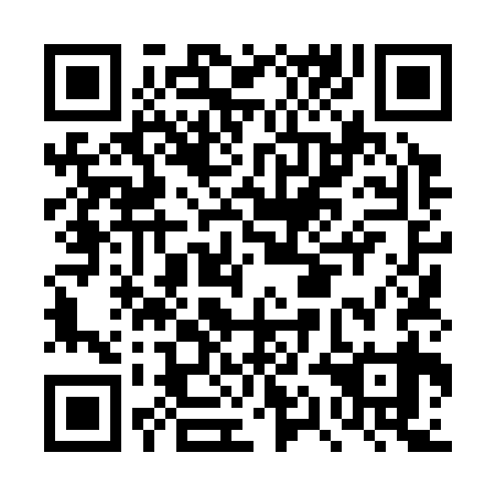 QR code for plate DQL 339