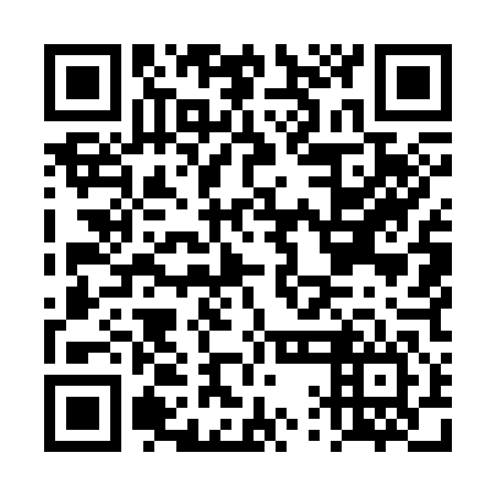 QR code for DQM 346