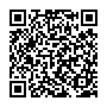 QR code for plate DQM 643