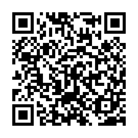 QR code for plate DSE 003