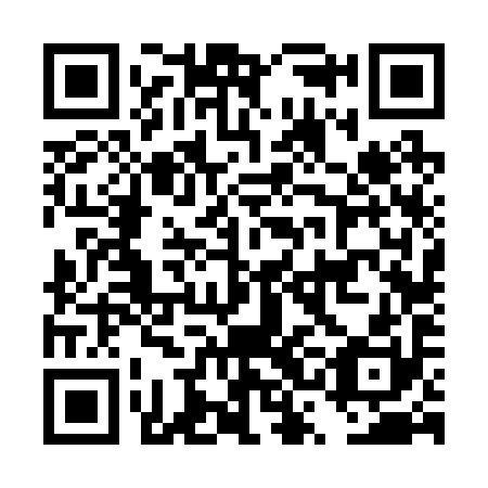 QR code for DSF 290