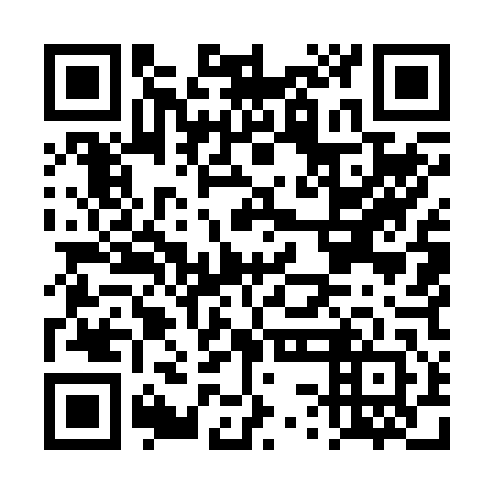 QR code for DSM 242