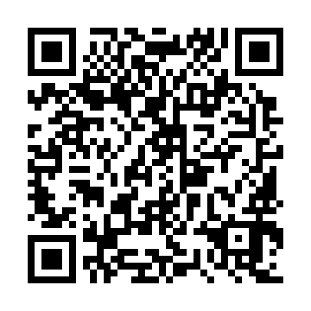 QR code for DSM 392