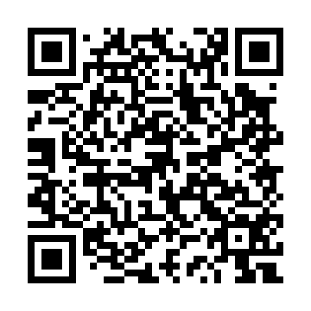 QR code for DSP 054