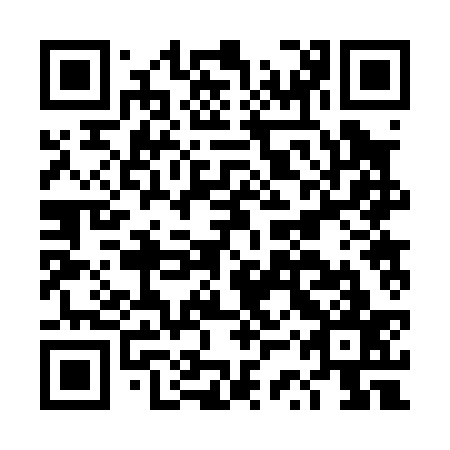 QR code for plate DSR 037