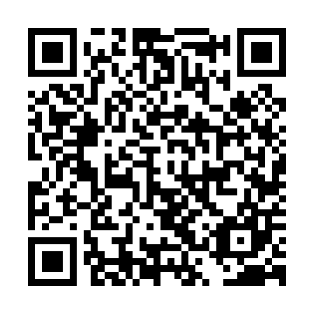 QR code for plate DSV 007