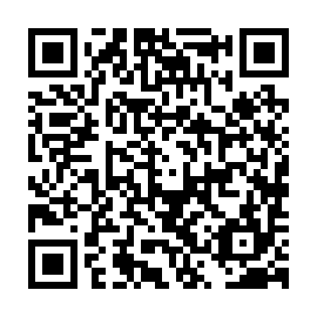 QR code for DSX 294