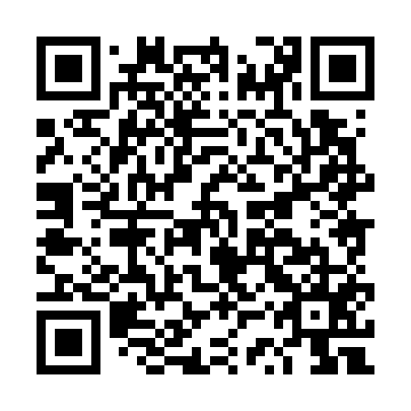 QR code for DSX755