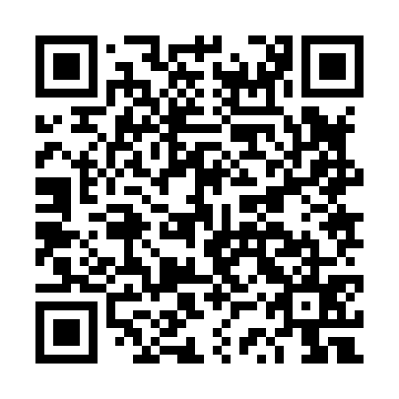 QR code for plate DSZ 875