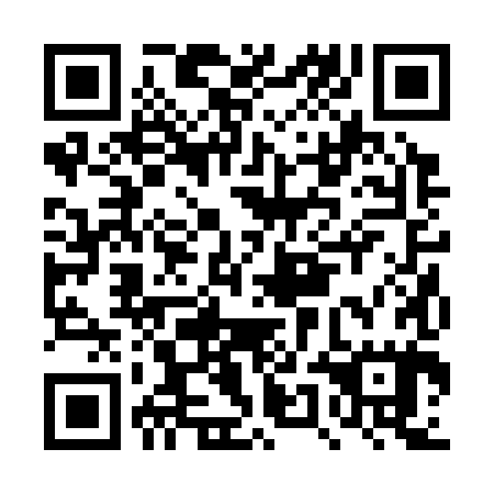 QR code for plate DUB 385