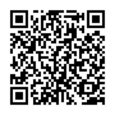 QR code for DUG509