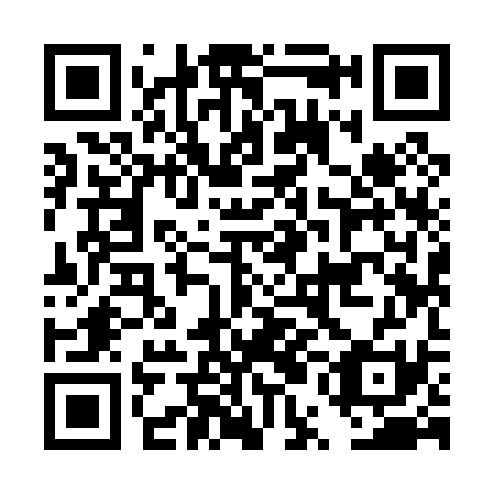 QR code for DUI 031