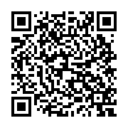 QR code for plate DUK 313
