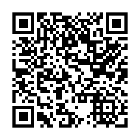 QR code for DUZ 213
