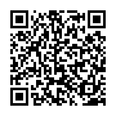 QR code for DVL 733