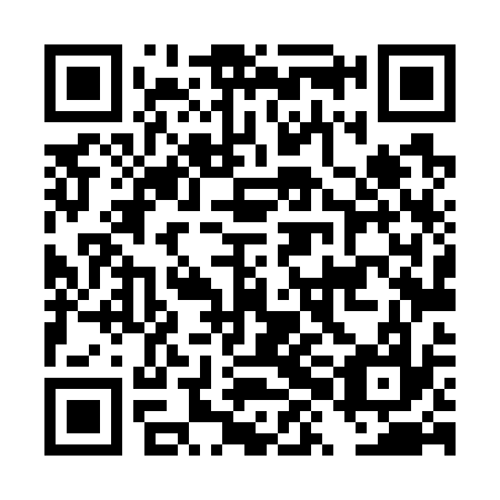 QR code for DXL 737