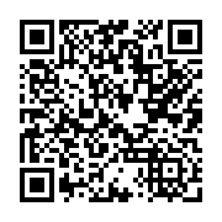 QR code for DXN 313