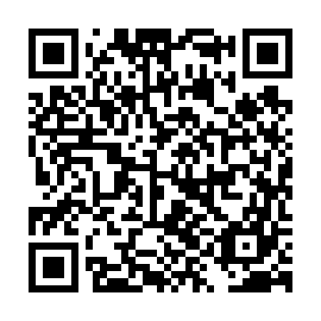 QR code for DYI 667