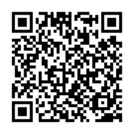 QR code for plate DYK 610