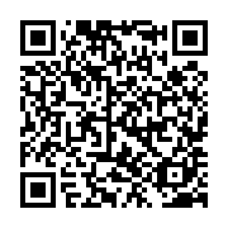 QR code for DYN581