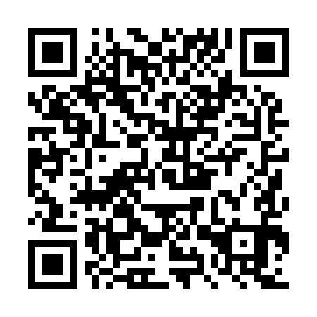 QR code for DYP 991